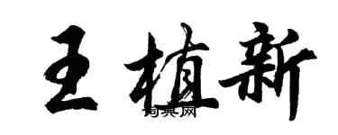 胡问遂王植新行书个性签名怎么写