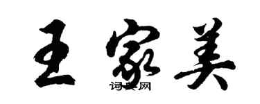 胡问遂王家美行书个性签名怎么写
