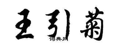 胡问遂王引菊行书个性签名怎么写