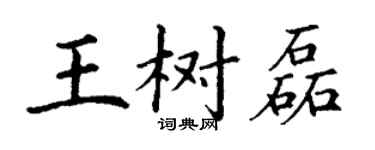 丁谦王树磊楷书个性签名怎么写