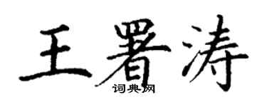 丁谦王署涛楷书个性签名怎么写