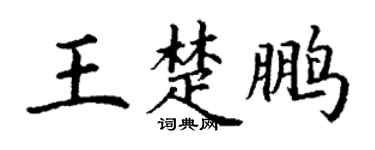 丁谦王楚鹏楷书个性签名怎么写