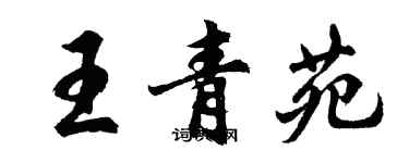 胡问遂王青苑行书个性签名怎么写