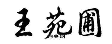胡问遂王苑圃行书个性签名怎么写