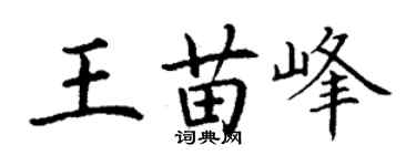 丁谦王苗峰楷书个性签名怎么写