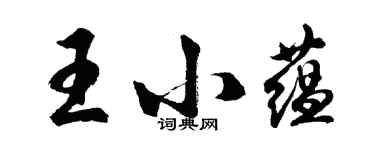 胡问遂王小蕴行书个性签名怎么写