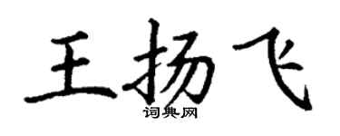 丁谦王扬飞楷书个性签名怎么写
