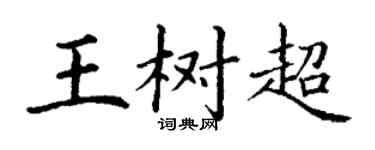 丁谦王树超楷书个性签名怎么写