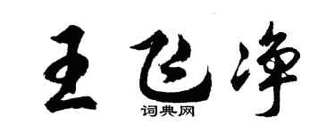 胡问遂王飞净行书个性签名怎么写