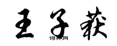胡问遂王子获行书个性签名怎么写