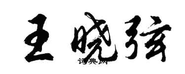 胡问遂王晓弦行书个性签名怎么写