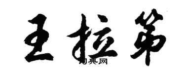 胡问遂王拉第行书个性签名怎么写
