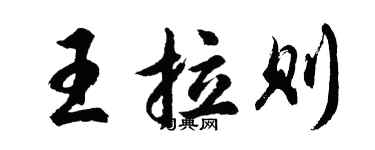 胡问遂王拉则行书个性签名怎么写