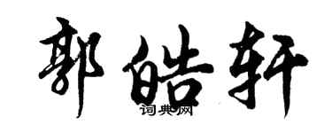 胡问遂郭皓轩行书个性签名怎么写