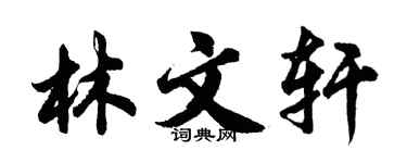 胡问遂林文轩行书个性签名怎么写