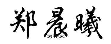 胡问遂郑晨曦行书个性签名怎么写
