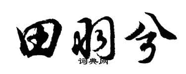胡问遂田羽兮行书个性签名怎么写