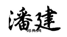 胡问遂潘建行书个性签名怎么写