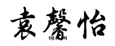 胡问遂袁馨怡行书个性签名怎么写