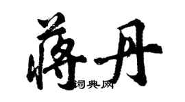 胡问遂蒋丹行书个性签名怎么写