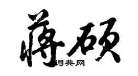 胡问遂蒋硕行书个性签名怎么写