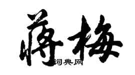 胡问遂蒋梅行书个性签名怎么写
