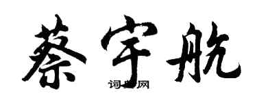 胡问遂蔡宇航行书个性签名怎么写