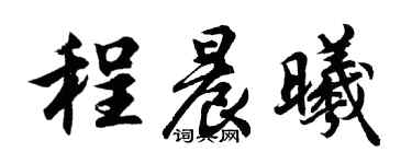 胡问遂程晨曦行书个性签名怎么写