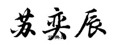胡问遂苏奕辰行书个性签名怎么写