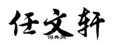 胡问遂任文轩行书个性签名怎么写