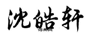 胡问遂沈皓轩行书个性签名怎么写