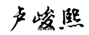胡问遂卢峻熙行书个性签名怎么写