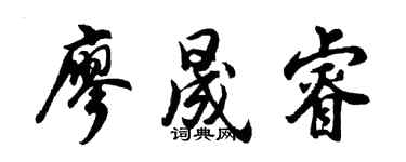 胡问遂廖晟睿行书个性签名怎么写