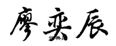 胡问遂廖奕辰行书个性签名怎么写