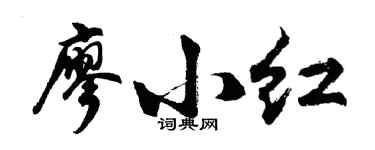 胡问遂廖小红行书个性签名怎么写