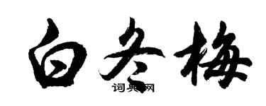 胡问遂白冬梅行书个性签名怎么写