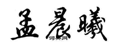 胡问遂孟晨曦行书个性签名怎么写