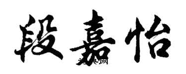 胡问遂段嘉怡行书个性签名怎么写