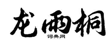 胡问遂龙雨桐行书个性签名怎么写
