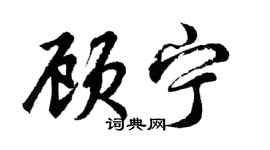 胡问遂顾宁行书个性签名怎么写