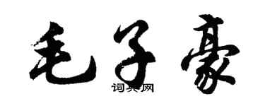 胡问遂毛子豪行书个性签名怎么写