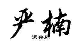 胡问遂严楠行书个性签名怎么写