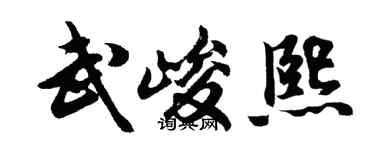 胡问遂武峻熙行书个性签名怎么写