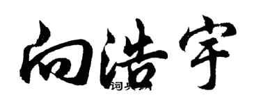 胡问遂向浩宇行书个性签名怎么写