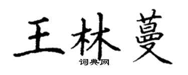 丁谦王林蔓楷书个性签名怎么写