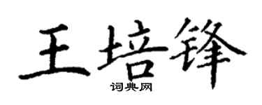 丁谦王培锋楷书个性签名怎么写