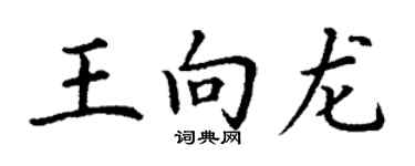 丁谦王向龙楷书个性签名怎么写