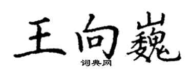 丁谦王向巍楷书个性签名怎么写