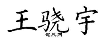 丁谦王骁宇楷书个性签名怎么写