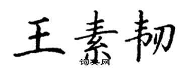 丁谦王素韧楷书个性签名怎么写